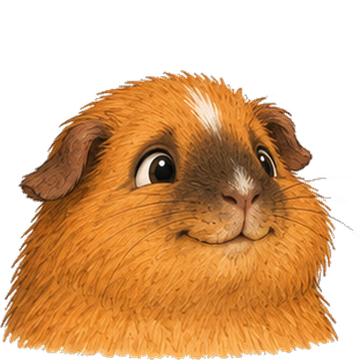 Toffy, das Herz, Meerschweinchen aus den Wirtschaftsschweinchen