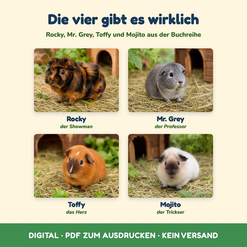 Die echten Meerschweinchen Rocky, Mr. Grey, Toffy und Mojito (FLITCH)