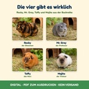 Die echten Meerschweinchen Rocky, Mr. Grey, Toffy und Mojito (FLITCH)