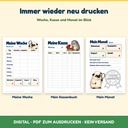 Woche, Kasse und Monat beliebig oft drucken – Kassenbuch für Kinder (Die Schweinchenkasse, FLITCH)